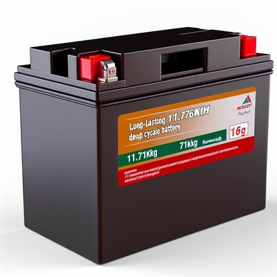 Guter Preis 51.2V 230Ah Golfkarren LiFePO4 Batterie mit Smart BMS 11,8kWh Online